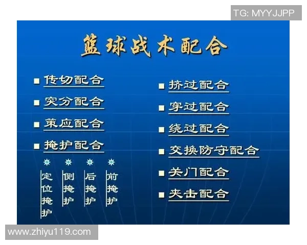 成都排球队快攻战术解析与实战应用探讨