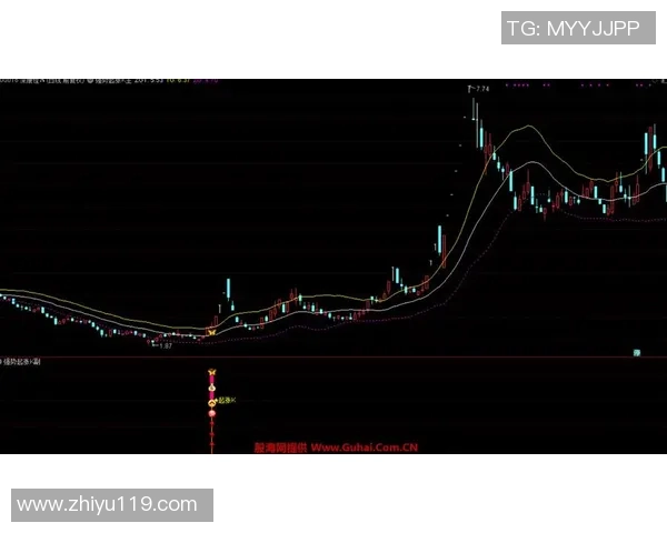 武汉足球队在联合会杯中的强势表现与未来展望分析 武汉足球队在联合会杯中的强势表现与未来展望分析
