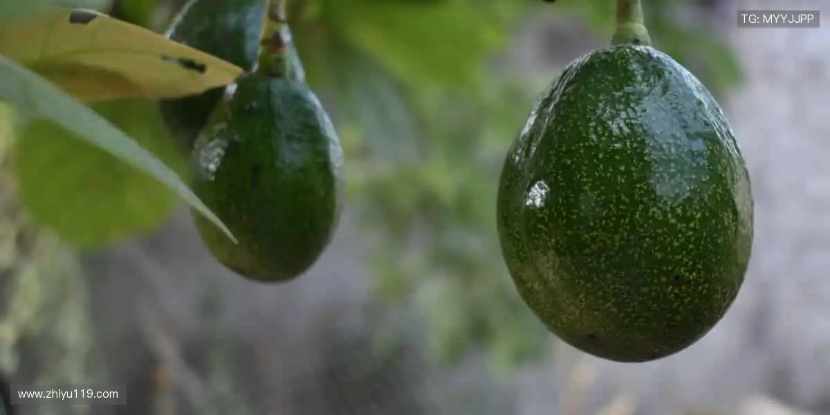 装备你的运动人生!🎯